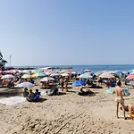 Mimoza Torrevieja