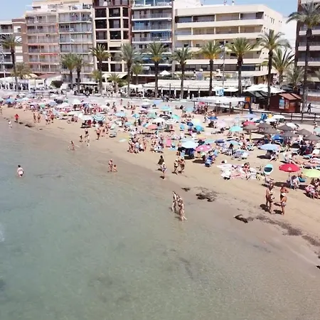 Mimoza * Torrevieja
