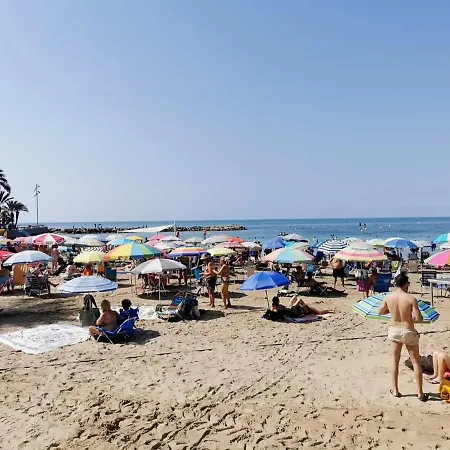 Mimoza Torrevieja