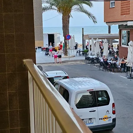 Mimoza * Torrevieja
