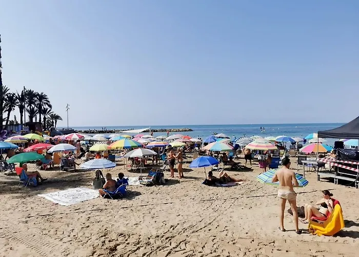 Mimoza Torrevieja