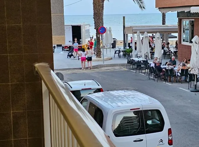 Mimoza * Torrevieja